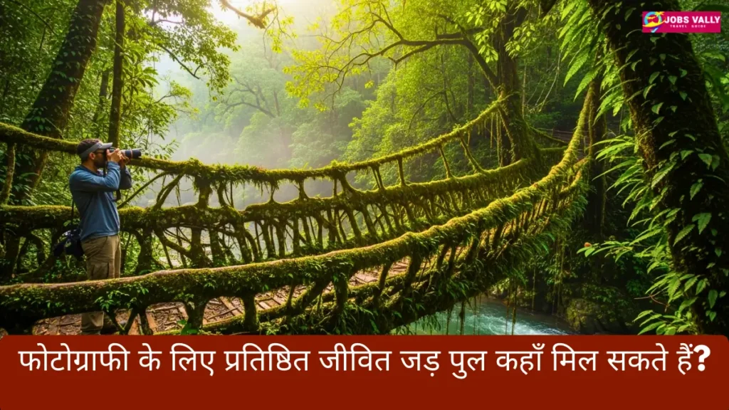 फोटोग्राफी के लिए प्रतिष्ठित जीवित जड़ पुल कहाँ मिल सकते हैं?
