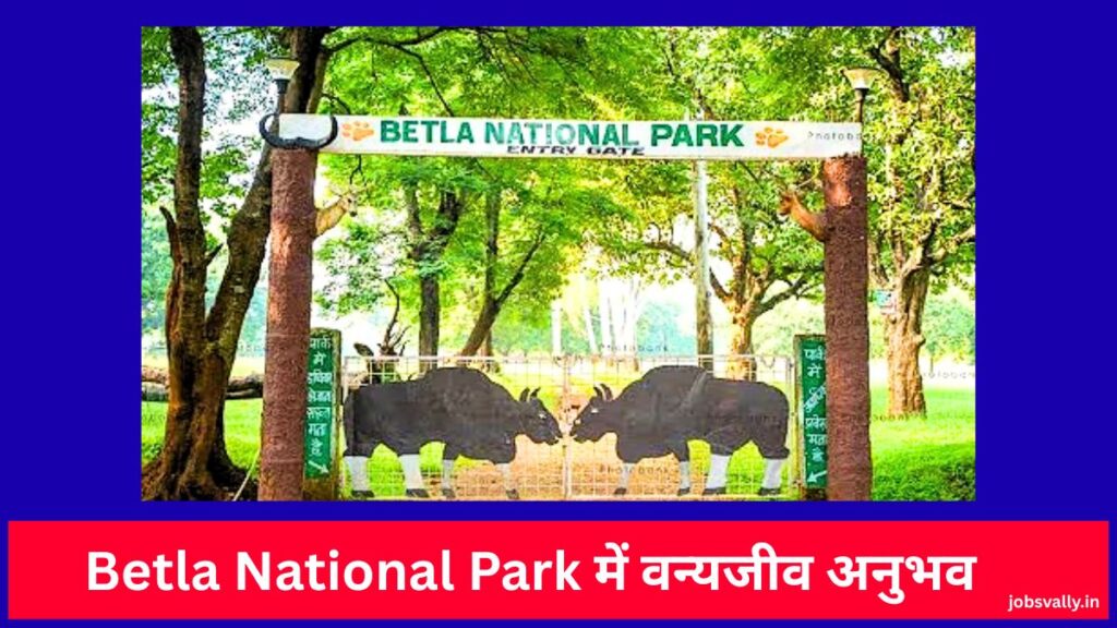 Betla National Park में वन्यजीव अनुभव