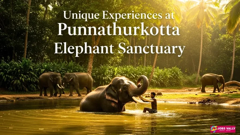 Unique Experiences at Punnathurkotta Elephant Sanctuary
