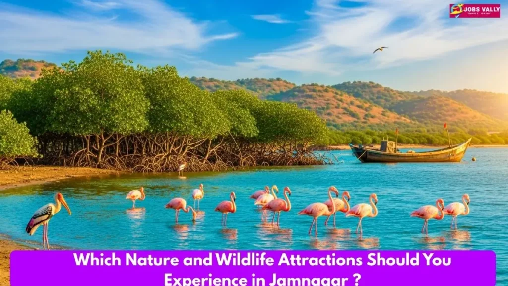 Which Nature and Wildlife Attractions Should You Experience in Jamnagar ?